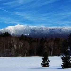 Meet your Posher, Molly